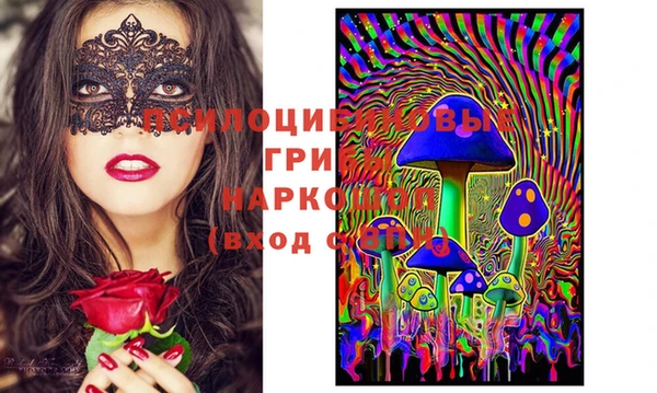 мяу мяу мука Бугульма