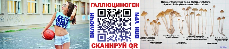KRAKEN вход  Минусинск  Галлюциногенные грибы MAGIC MUSHROOMS 